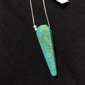 Alex and Ani Turquoise pendulum necklace